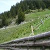 10.06.2006 Schweiz